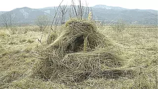 Скрадок для охоты на гусей.